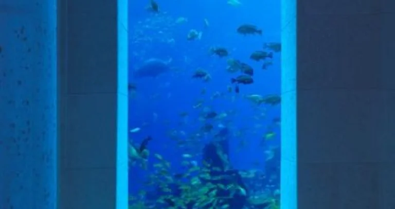 Atlantis The Palm